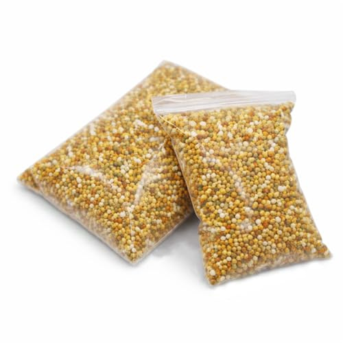 Bamboo Fertilizer Super Food Slow Release Osmocote Pro 5-6M Potassium Nitrogen (500g)