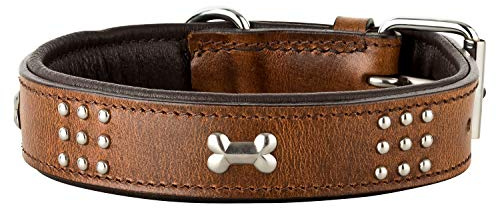 Schnüffelfreunde Nala Halsband für Hunde aus Leder mit Applikation und Nieten, Hundehalsband für den großen und mittleren Hund (L - 36-45cm, Braun)