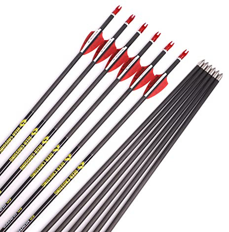 ACCMOS ID 4,2 mm Pfeil aus Reinem Kohlenstoff 31 Zoll Spine 900 Bogensport Pfeile für Recurve-Bogen Compoundbogen Jagd & Schießübungen 12 Stück (12pcs, Spine 900)