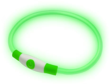 PetSol LED-Hundehalsband in Grün – wiederaufladbares USB-Sicherheitshalsband mit blinkendem Licht für Hunde, Katzen und Welpen – Größe S, M und L – modisches, im Dunkeln leuchtendes Design