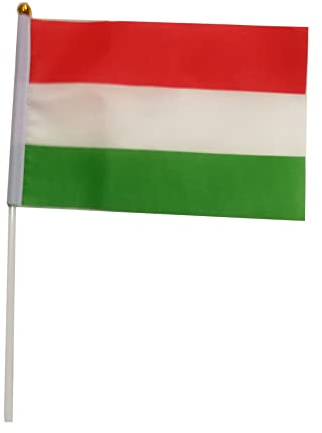 YCDtop 50 PCS Bandiera tifo Bandiera Ungheria Bandiera 14 * 21 cm Bandiera in Poliestere Ungheria Bandiera tremante della Mano con Asta