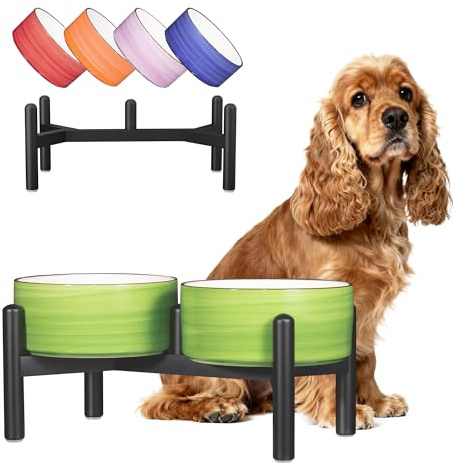 Keramik Hundenapf Erhöht mit Edelstahl-Ständer - Schoene Doppelnapf Futterstation für Kleine und Mittelgroße Hunde - rutschfest Hund Napf Set für Futter und Wasser - 350g / 660ml - 15cm - Grün