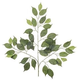 12er Set Künstliche Ficus Zeige 55cm lang mit je 42 feine Textil-Blätter - Birkenfeige Kunstzweig Benjamini Dekozweig