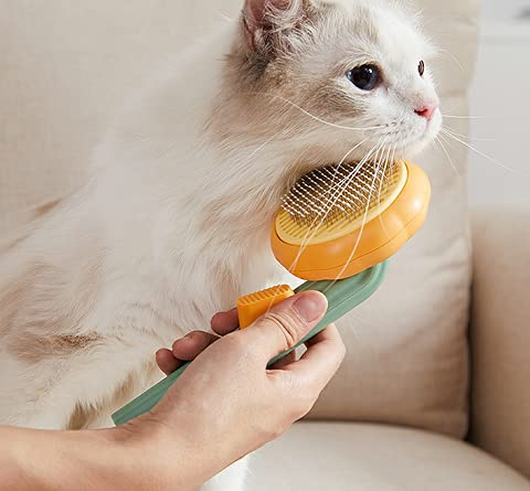 Premium Haustier Hundebürste Katzenbürste, Haar Entferner Haustierbürste für Langhaar und Kurzhaar, Sauberes Haustierhaar von der Bürste mit Einem Knopf