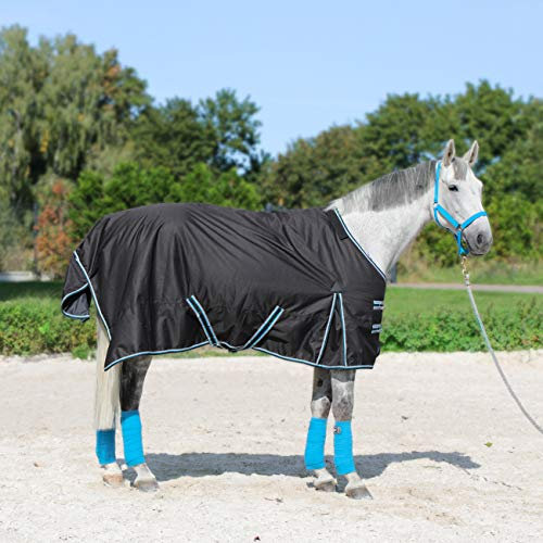Pferdedecke Regendecke Horsenjoy Aristo Outdoordecke 600D 50g Weidedecke (135 cm)