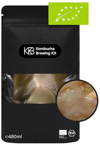 Kombucha XL Bio Scoby, sehr aktive Starterkultur mit Kombucha Pilz aus 100% Bio Tee, Erfolgsgarantie, für 2,4 – 4,8 l, handgefertigt, vegan, glutenfrei, laktosefrei (2x 240 ml)