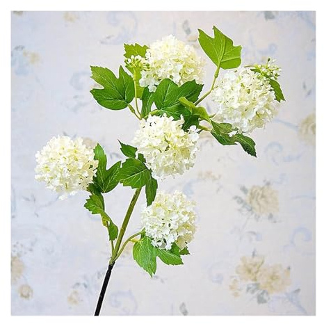WENH Boule de Neige de Luxe, 5 têtes d'hortensia, Branche luxuriante, décor de Salle Blanche, Fleurs artificielles en Soie avec Feuille Verte for la décoration de la Maison(A 1PCS)