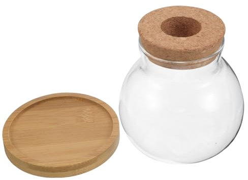 Glass Propagation Vase 2 Sets with Bamboo Tray for Plants