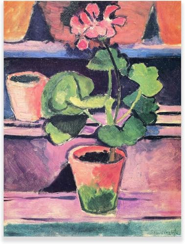Gnvkd Ecbxz Henri Matisse Poster Blume Wandkunst Topf mit Geranien Leinwand Malerei Henri Matisse Drucke Für Wohnzimmer Zuhause Moderne Dekor Bild 60x80cm Kein Rahmen