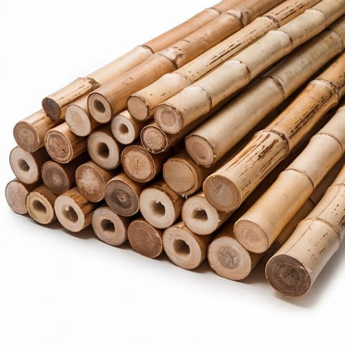 Gardens 2Ft,3Ft,4Ft,5Ft,6Ft,7Ft,8FT,10Ft Strong Heavy Duty Professional Bamboo Plant Support Garden Canes (20, 3ft, 12-14 mm)