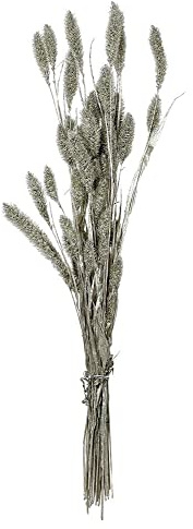 Trockenblumenstrauß Silber Hirse Setaria getrocknet Bund mit Stiel Weihnachten