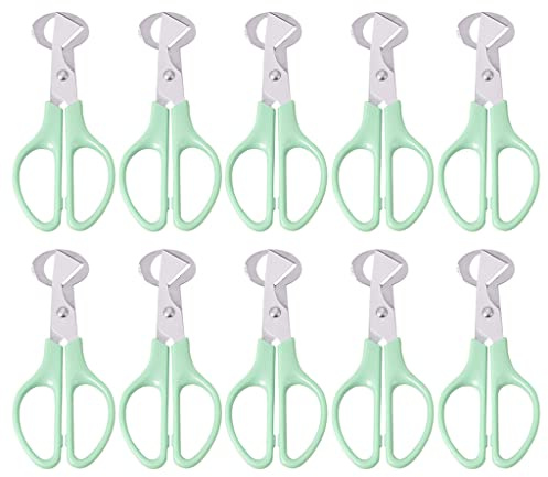 for Quail Egg Scissors Quail Egg Opener Cutter Stainless Steel Cutting Egg Tools Dining Gadge Quail Egg Scissors 10 Pack Stainless Steel