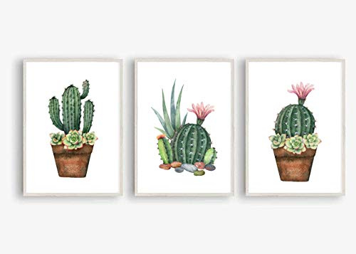 Din A4 Kunstdruck ungerahmt 3er Set - Kaktus mit Blüten Sukkulenten Agave Aquarell Natur Topfpflanze Druck Poster Bild