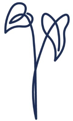 Tattwo.me - Temporäre Tattoos für Erwachsene und Kinder, 2 Wochen, wasserfest - Anthuriumblume - Pflanzliche Tinte - EU-Kosmetik-Zertifikat - (5X5 - P0351)