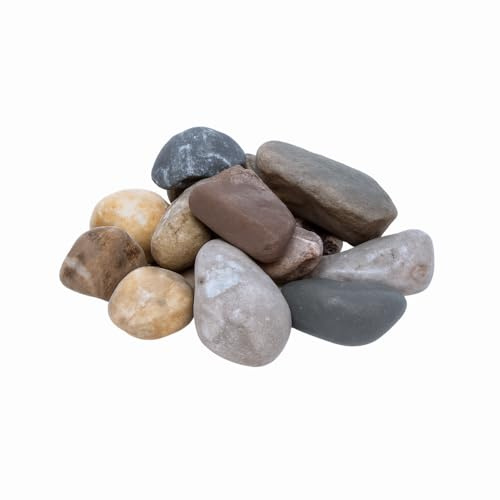FORTUNATO Ciottoli Grigio Ghedi, Pietra Naturale Decorativa, Disponibile in Formati da 5 kg o 25 kg (Misura : 20/30, Formato : 25 kg)