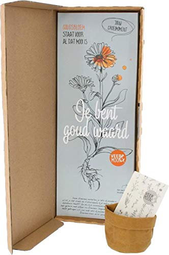 BloomPost You are Golden - Marigold Flower Seeds with Leather Bag and Soil - Grow Them Yourself - Inspired by Nature - Original Letterbox Gift, Brown, (L022)