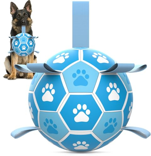 HETOO Hundeball Hundespielzeug Ball mit Seil Hundefußball (8 Zoll Hellblau) | Interaktive Hunde Ball für Touring, Langlebig Hoher Sprung Schwimmende Ball für Hunde Geburtstagsgeschenke Indoor Outdoor