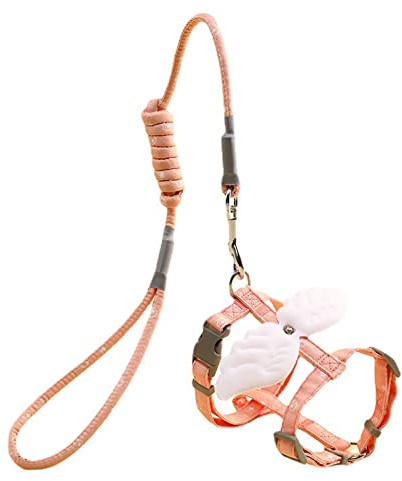Rudiaoa Hunde Sicherheitsgeschirr Mit Leine Set No Escape Atmungsaktiv Verstellbar Katzenleinen Für Kleine Hunde Training Spazierengehen Katzen Kleines Hundegeschirr Und Leine Set – Pull Escape Junge