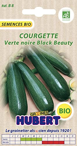 Graines de Courgette Verte Noire Black Beauty BIO - 3 grammes