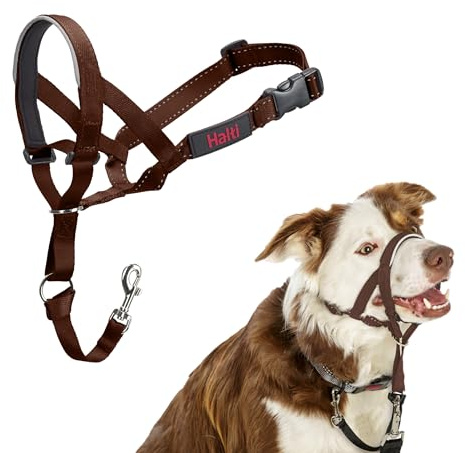 HALTI Headcollar - För att hindra din hund från att dra i kopplet. Justerbar och lätt, med vadderat näsband. Anti-draghalsband för hundträning för medelstora hundar (Storlek 2, Djup Valnöt)