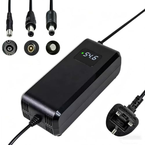 54.6V 4A fast battery charger, for 48V lithium battery 13S*3.7V,for electric scooter and ebike, with LED display and multiple protection, equipped with connectors (RCA 8mm, DC 5.5 * 2.1mm)
