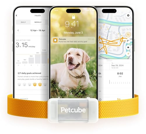 Petcube GPS Tracker for Dogs – Real-Time GPS Tracking & Escape Alerts