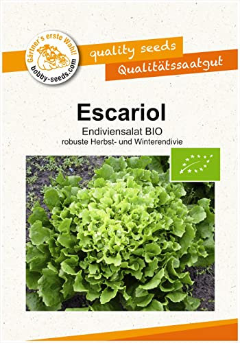 BIO-Salatsamen Escariol Endivie Portion