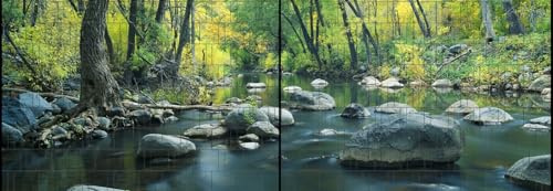 Riesen Panorama Zaun - bedruckte Sichtschutzstreifen für Doppelstabmattenzaun mit großen Panorama Motiv (XL (2 Zaunfelder), Fluss)