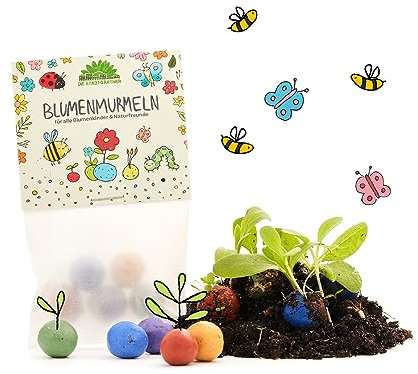 Set aus 10 x 5 bunten Blumenmurmeln – Nachhaltige Mitgebsel für Kindergeburtstage – Geschenkidee für Kita, Schule & Kollegen – Seedbombs als Gastgeschenk, Dankeschön & Abschiedsgeschenk