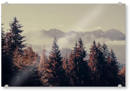 artboxONE Acrylglasbild 45x30 cm Natur Bergwald Bild hinter Acrylglas - Bild Berg Berg dolomiten