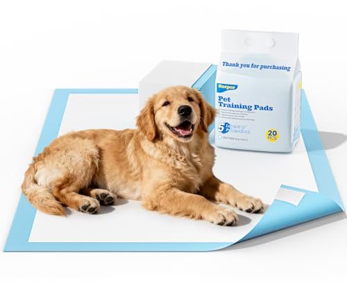 Barpor Alaise pour Chien 60x60cm Aleses Jetables pour Chien 20 Pièces | Tapis de Propreté Chien Tapis pour Chiot Anti-Fuite, Super Absorbants, Design à 5 Couches avec Surface à Séchage Rapide
