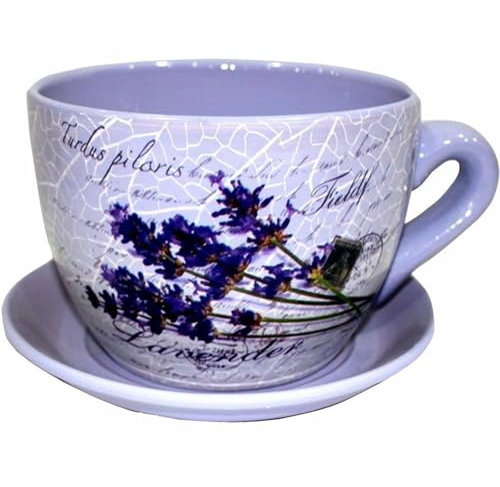 Decorative Novelty Terracotta Tea Cup and Saucer Shaped Garden Patio Flower Planter Plant Pot Tub Large Floral Purple Flower Design