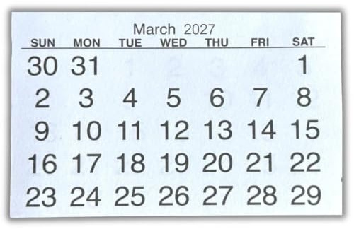 Lot de 5 mini onglets de calendrier 2025 - Insert blanc - Mini calendrier détachable - Affichage mensuel