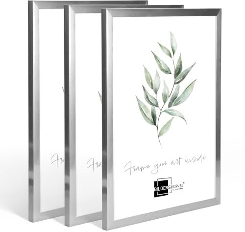 Bildershop-24 3X Kunststoffrahmen modern Bilderrahmen Fotorahmen gradlinig Silber 20 X 30 cm