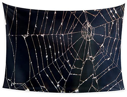 WOSHJIUK Wandteppich 60x51 Zoll,Bild Spinnennetz,Wandbehang Wandteppich Wanddekoration für Wohnzimmer Schlafzimmer