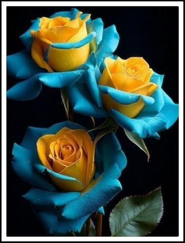 Resistente al frío - Raíces de rosas - Decoración paisajística para terraza y jardín - Vertical - /【CXXFGFT】.-1 rizoma-C