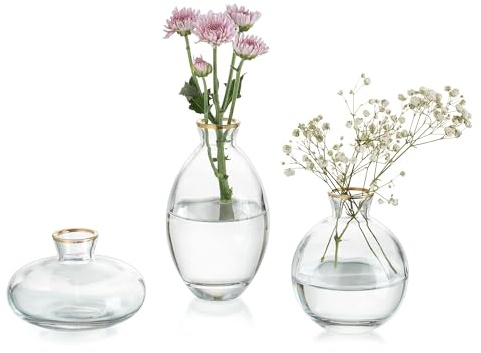 Glasseam Kleine Vasen für Tischdeko Handmade, 3er Goldrand Mini Vase Glas | Verschiedene Groessen, Blumenvase Modern, Hydroponic Glasvasen Set, Hochzeit Tisch, Wohnzimmer, Badezimmer, Couchtisch