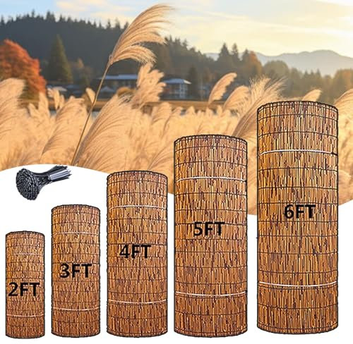 MZQMK Umweltfreundlicher Schilfrohrzaun Schilfmatten Sichtschutz Rollzaun Bambuszaunrollen Schilfrohr Für Terrasse, Villa, Schatten Und Dekorative Zaunplatte(1.83x3m/6x9.8ft)