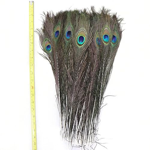 Natürlicher Pfau der Fabrik 10pcs/lot versieht 40-45CM 16-18inch Weihnachtshauptzusätze mit Dekorationen der Schmucksache-DIY mit Standardeinstellung