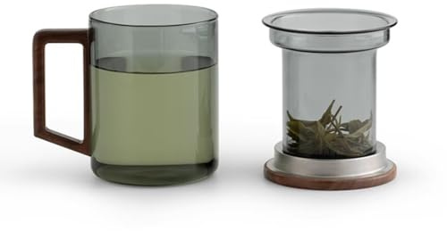 LEEDJUINE Juego de té con infusor de té de cristal, 380 ml, taza individual resistente al calor