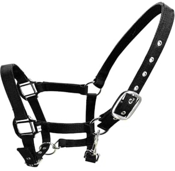 YIXANNX Gepolsterter Halfter, Pony Zaumzeug, Kopfkragen, Zinklegierung, hohe Widerstandsfähigkeit, Schutzausrüstung, Schutz, rostfrei, professionell, Schwarz, XS