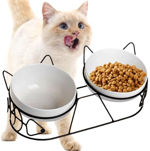 Erhöhter Futternapf Katze - katzennapf Keramik Fressnapf Katze Futterstation Erhöht 3er Set mit 15° Geneigtem für Katzen und Kleine Hunde Sachen, Doppel Napf