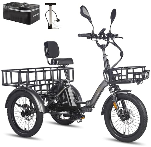 Fafrees F20 Mate E Bike Dreirad für Erwachsene 48V Zulassung [ Offiziell ] Herren E Bike Damen, Elektrofahrrad 3 Rädern 65N.m, Elektro Dreirad 20 Zoll, Ebike Lastenfahrrad IPX5, Fahrrad Fatbike 180kg
