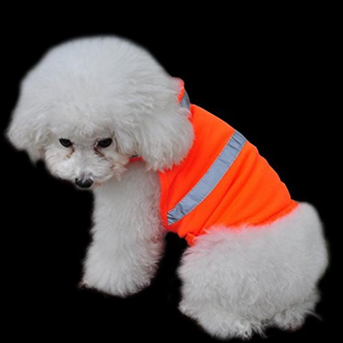 Alcyoneus Verstellbare PET reflektierende Vest Dog Hunting Safety Jacket hohe Sichtbarkeit Weste Size S (Fluorescent Orange)