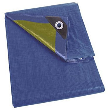 Perel Telone, robusto, 12 occhielli, angoli rinforzati, rettangolare, blu/verde, 110 g/m², 2 x 4 m