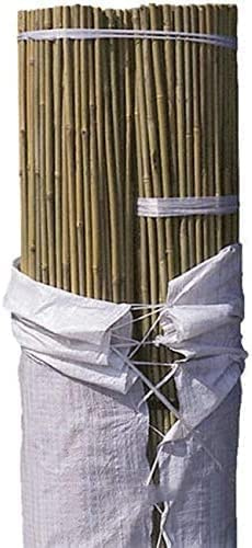 Suinga Lot de 200 Tuteurs en Bambou 120 cm, 10-12 mm, Tubes pour Plantes et Arbres, Baguettes, Cannes, Tiges, Supports