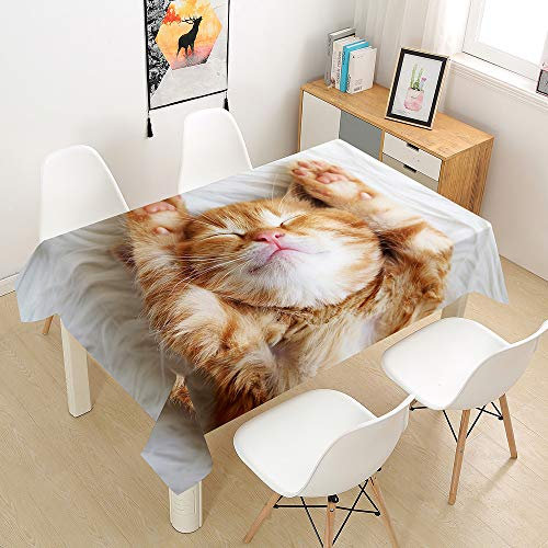 Oduo Tischdecke Wasserdicht Polyester Rechteckig, 3D-Katze Bedruckte Tischdecke Pflegeleicht Fleckschutz Ölfest Abwaschbar Outdoor Garten Deko Farbe & Größe Wählbar (Orangene Katze,140x180cm)