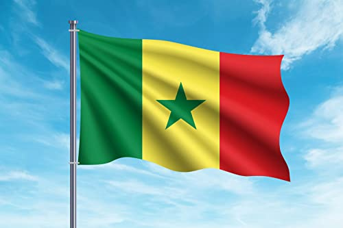OEDIM Drapeau du Sénégal | 150x85cm | Renforcé et surpiqûres | Drapeau avec 2 oeillets métalliques et résistant à l'eau