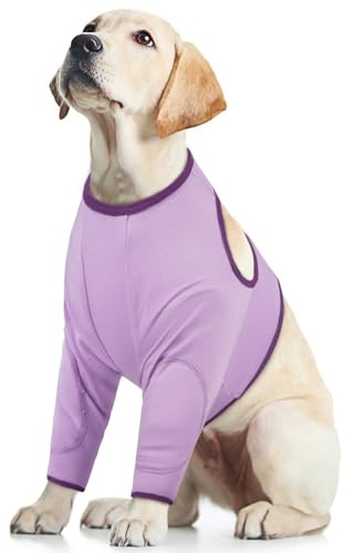 Hundbenskydd, hundbody framben armbågsskydd anti-slickskydd hund armbåge bandage framben ärm läckageskydd (lila, L)
