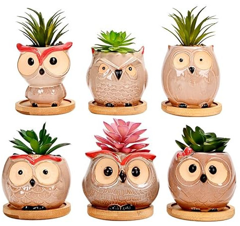 simpa 6PC Decorative Owl Themed Ceramic Plant Pots - Comic Owl Design 7.3cm (H) x 7.3cm (Dia)